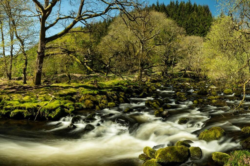 Charming Riverside Cottage In Snowdonia National Park Tanygrisiau Esterno foto