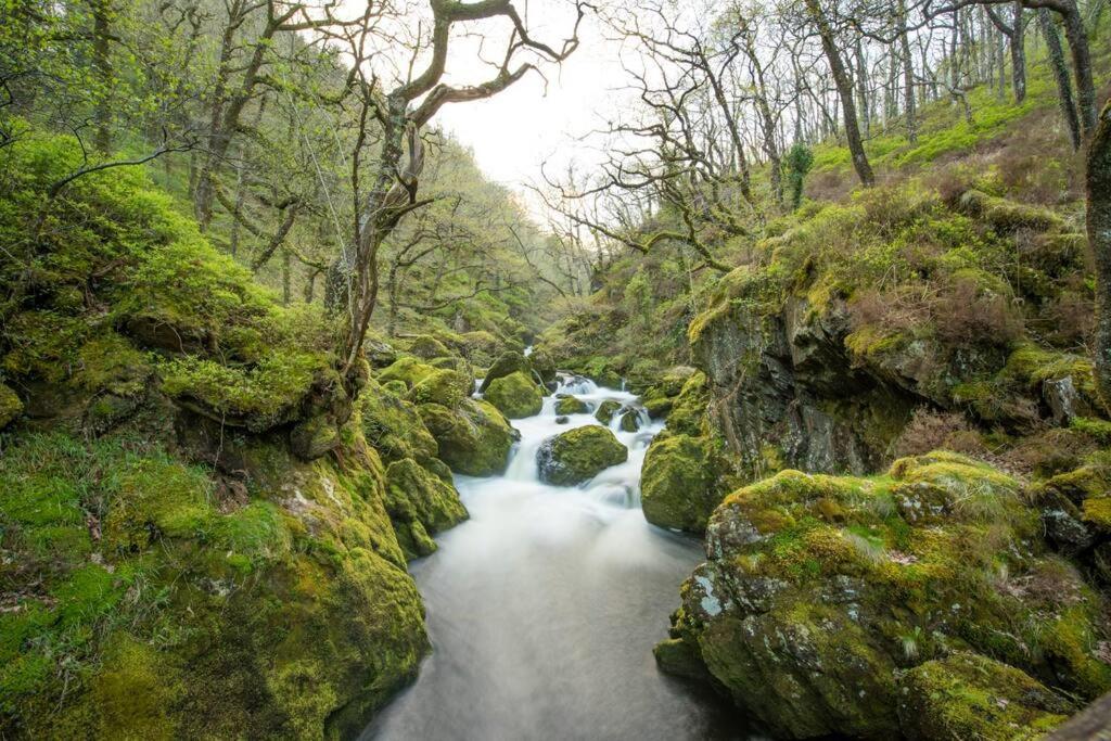 Charming Riverside Cottage In Snowdonia National Park Tanygrisiau Esterno foto