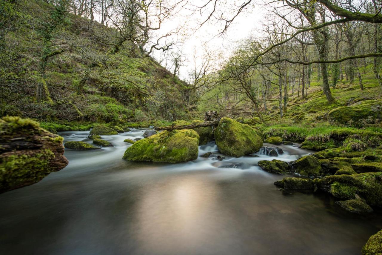 Charming Riverside Cottage In Snowdonia National Park Tanygrisiau Esterno foto